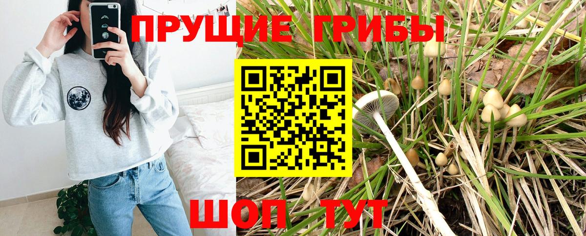 МЕФ   A PVP СК   LSD-25  Качканар  Купить наркотик  Гашиш  Вход с VPN  Каннабис  АМФЕТАМИН кристаллы 