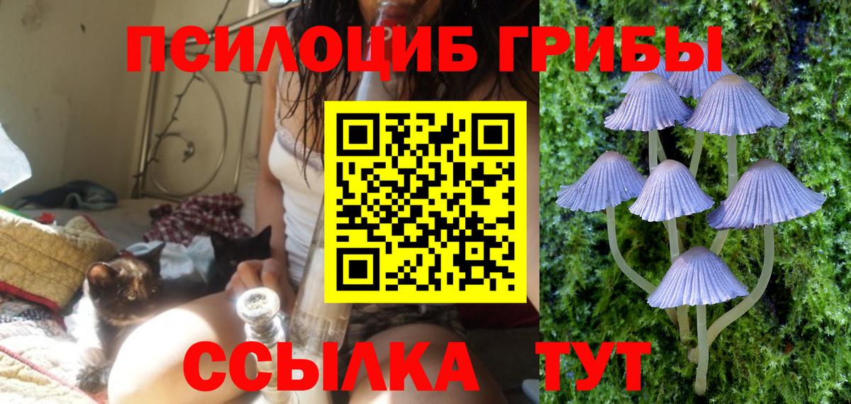 Галлюциногенные грибы Cubensis Качканар