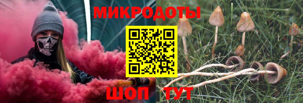наркошоп  Псилоцибиновые грибы MAGIC MUSHROOMS  Вход с VPN  Качканар 